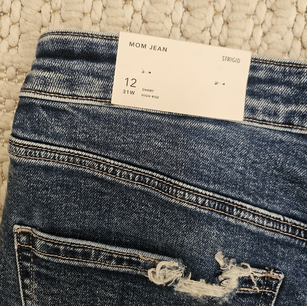 American Eagle Strigid Mom Jean - Picture 6 of 7
